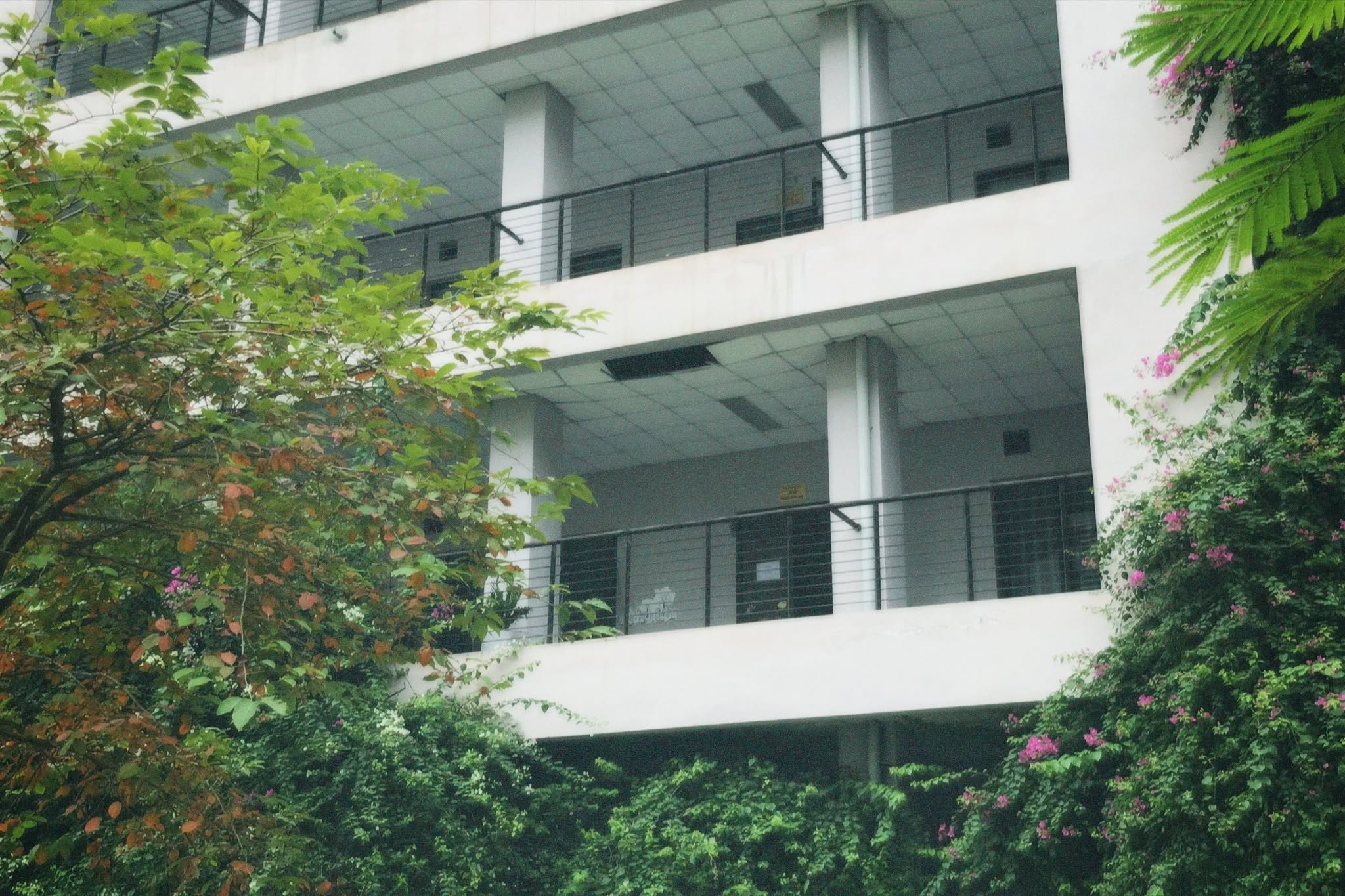 Ảnh 1