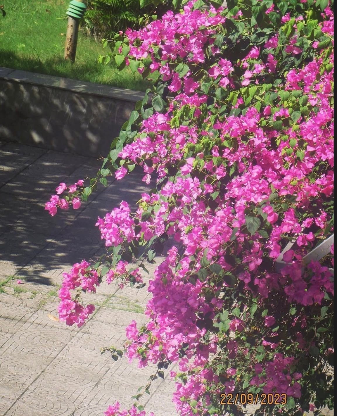 Ảnh 1