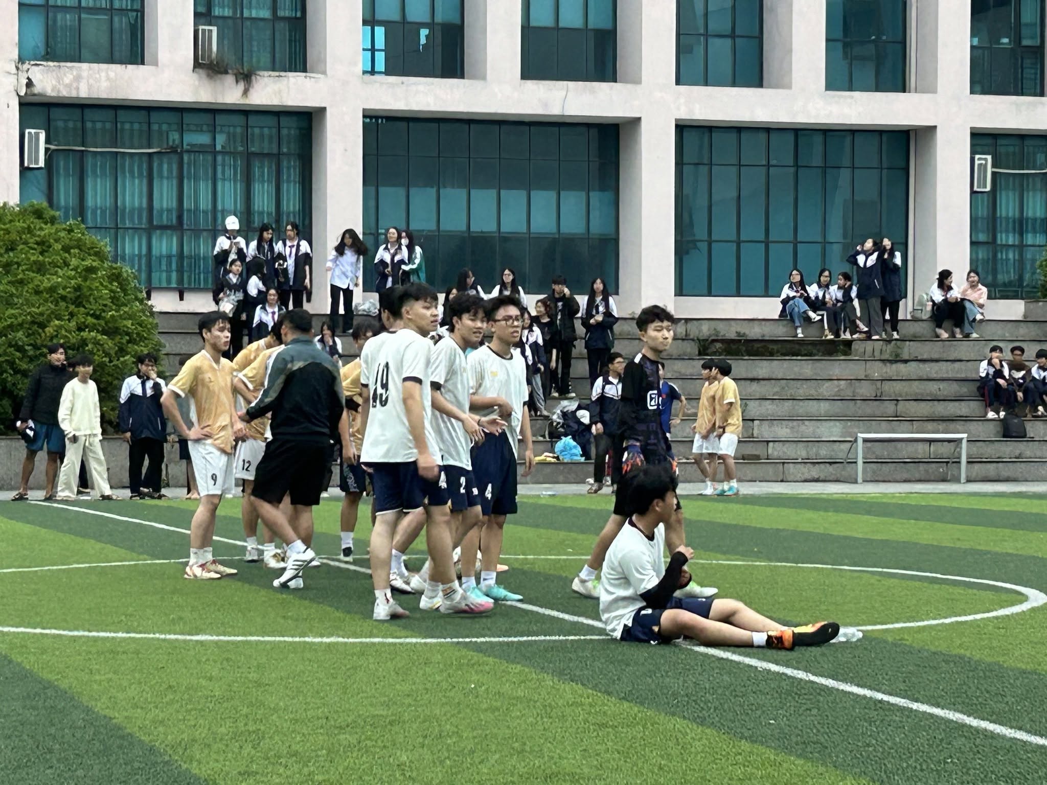 Ảnh 5