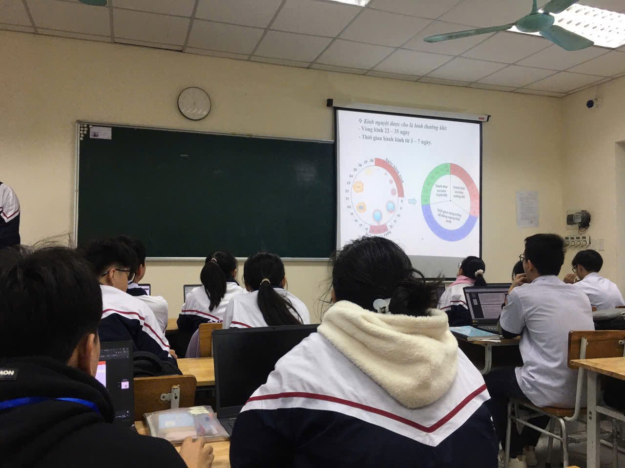 Ảnh 5
