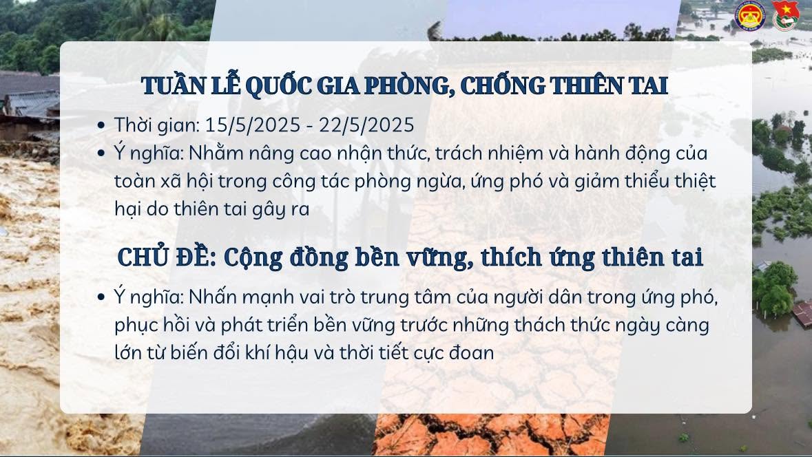 Ảnh 2