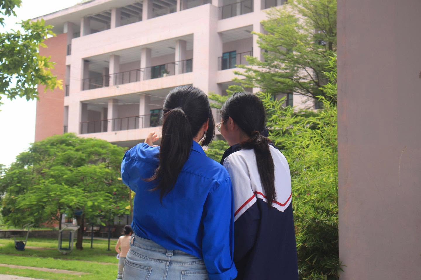 Ảnh 2