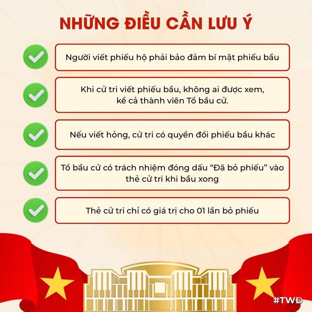 Ảnh 5