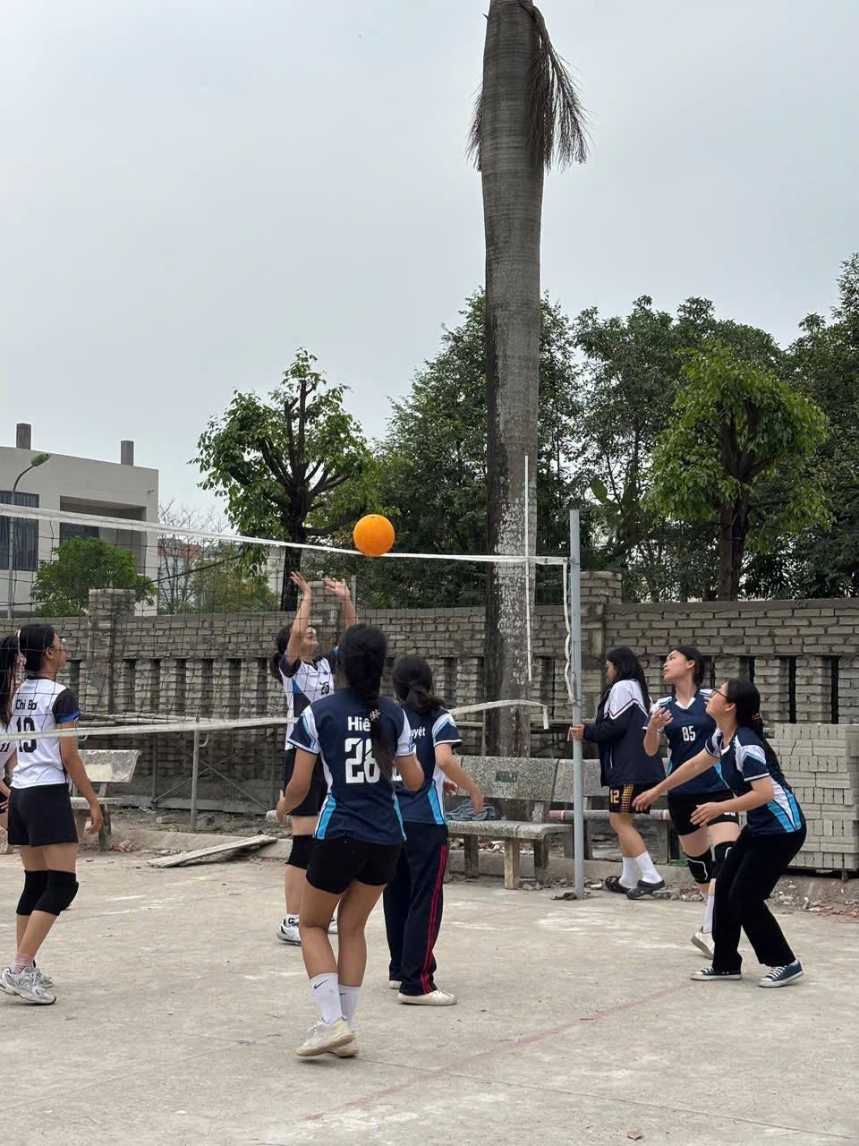 Ảnh 5