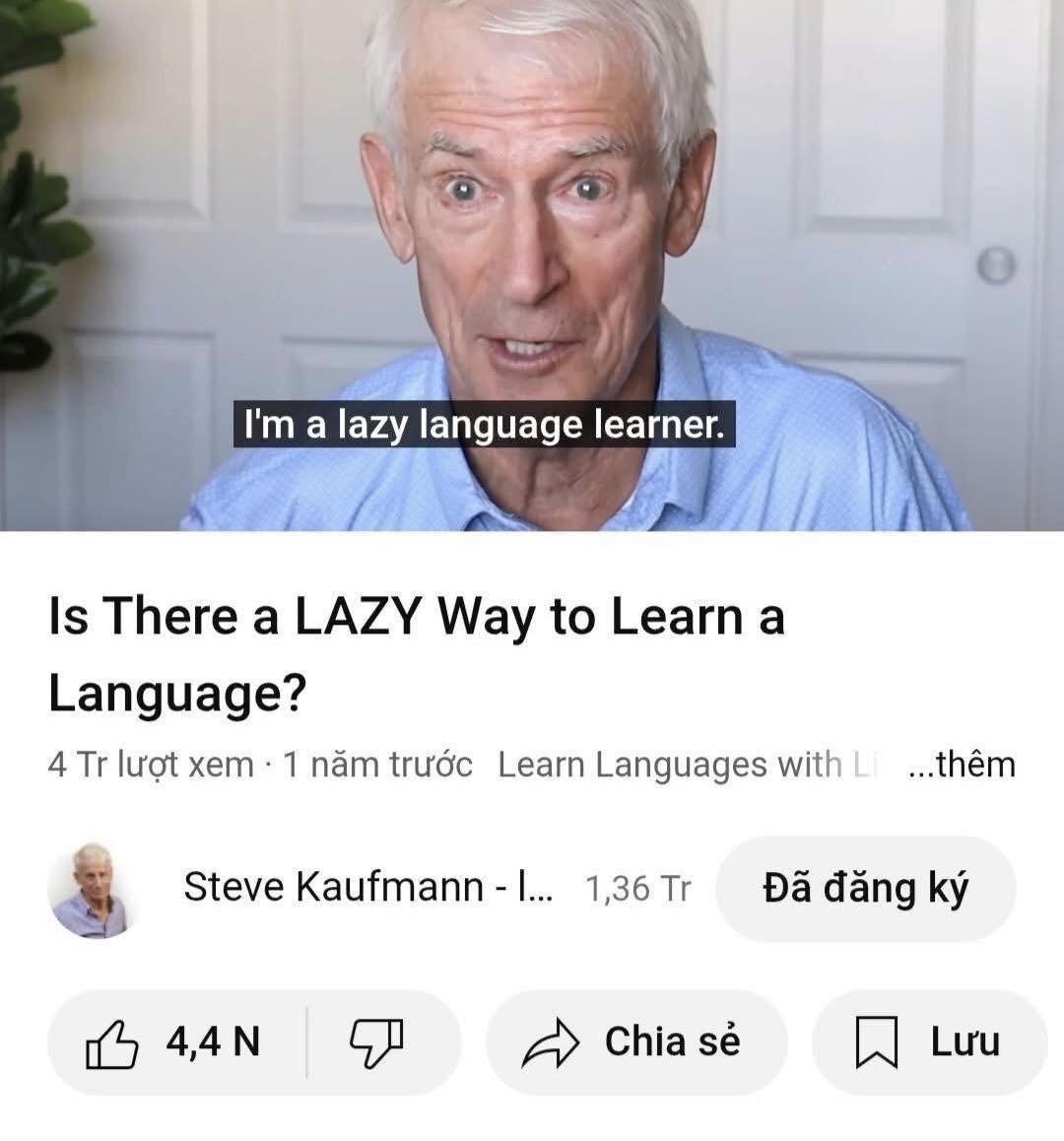 Ảnh 1
